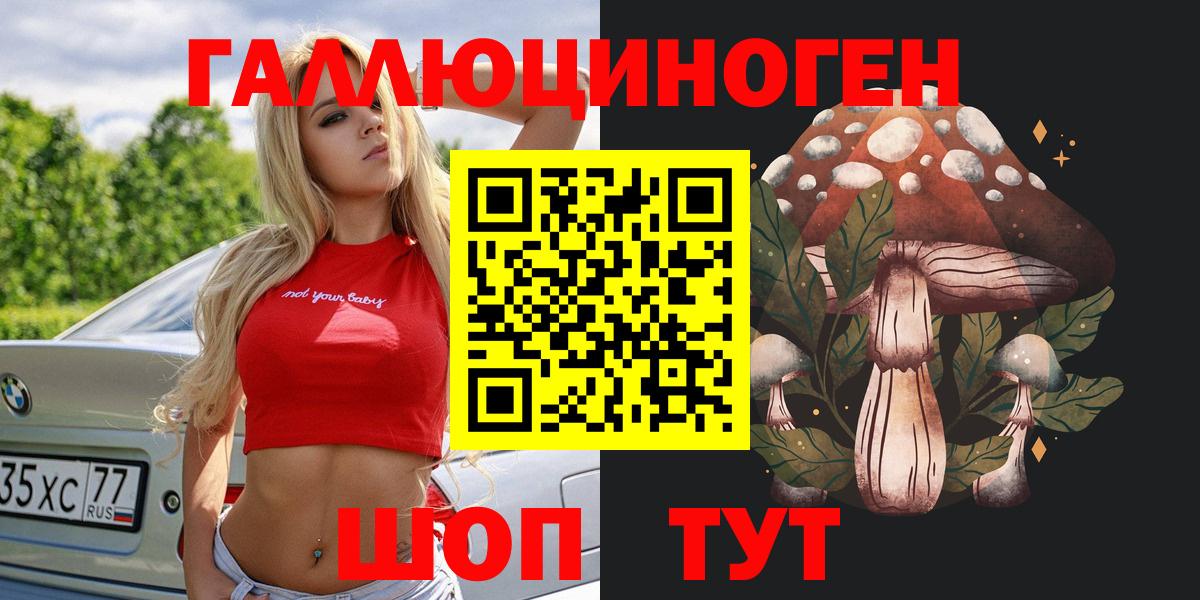 Галлюциногенные грибы Psilocybe Саров
